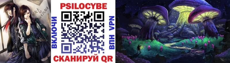 Галлюциногенные грибы Cubensis  Купить где  Лукоянов 